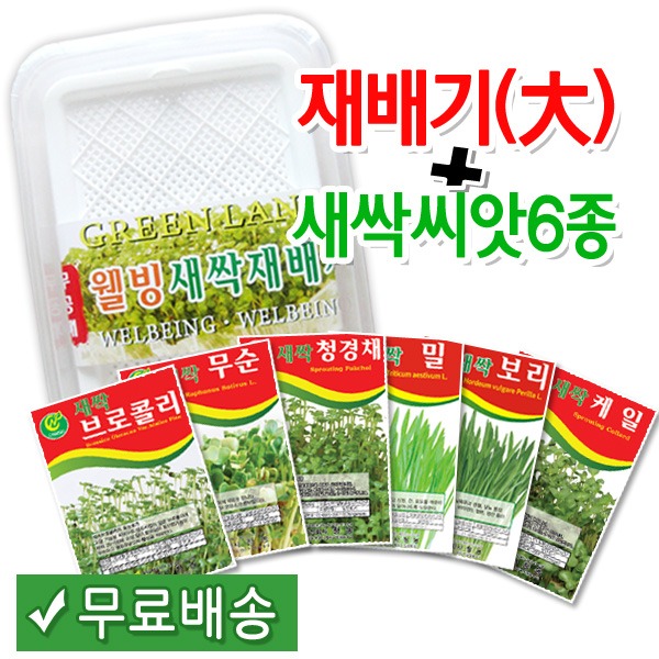 새싹재배기(대) + 새싹씨앗6종 set
